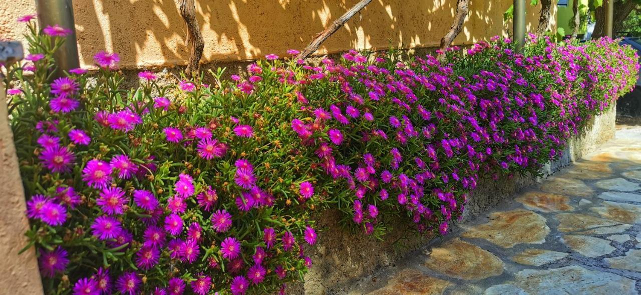 Park Daire Pridraga Dış mekan fotoğraf